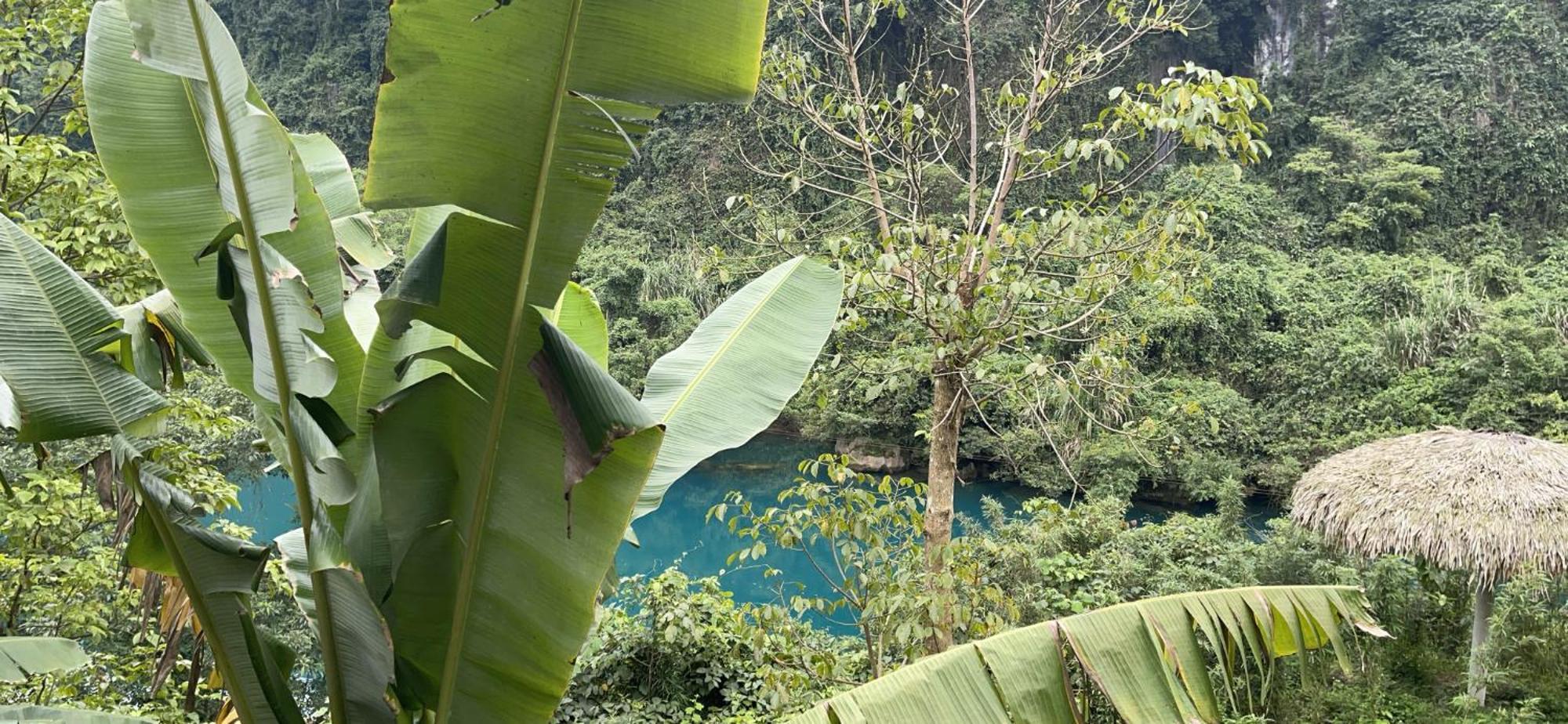 Cornflower Homestay Phong Nha Exterior foto